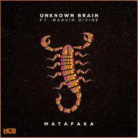 Unknown Brain — Matafaka Ft Marvin Divine — обложка