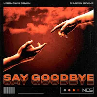 Unknown Brain — Say Goodbye Ft Marvin Divine — обложка